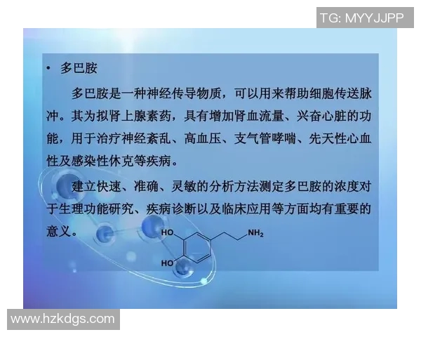 体育锻炼对高血压的影响及其降压效果的科学分析与探讨